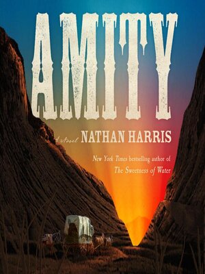 cover image of Amity